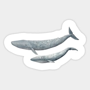 Blue whale Sticker